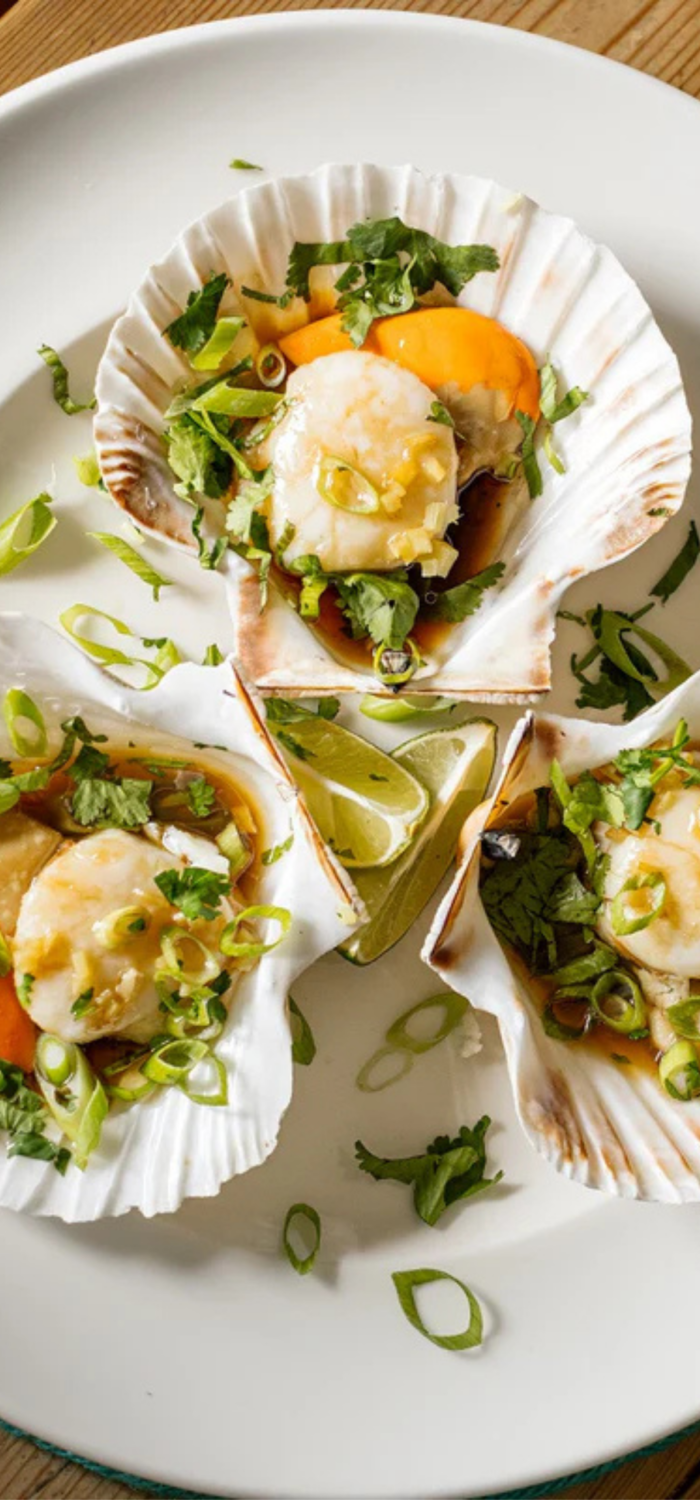 Untitled design (12)